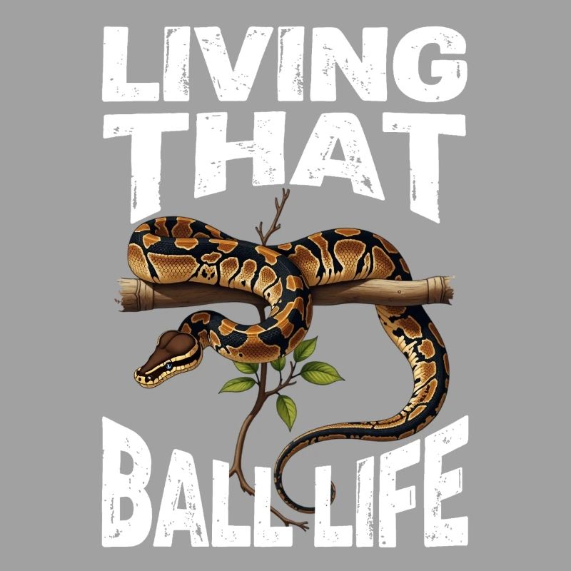 Python roi Serpents Amateurs de terrarium Python