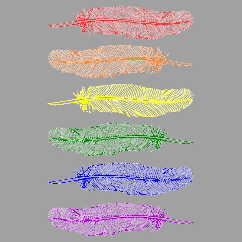 Federn Regenbogen