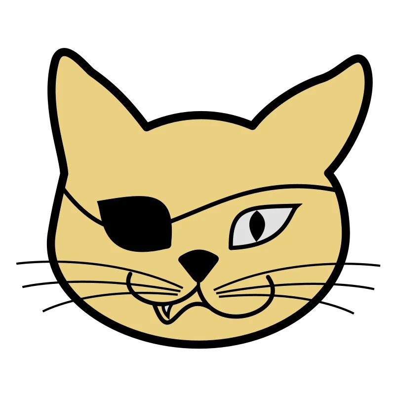 Pirate Kitteh