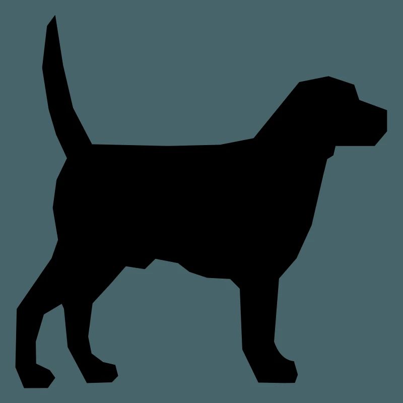 Hund