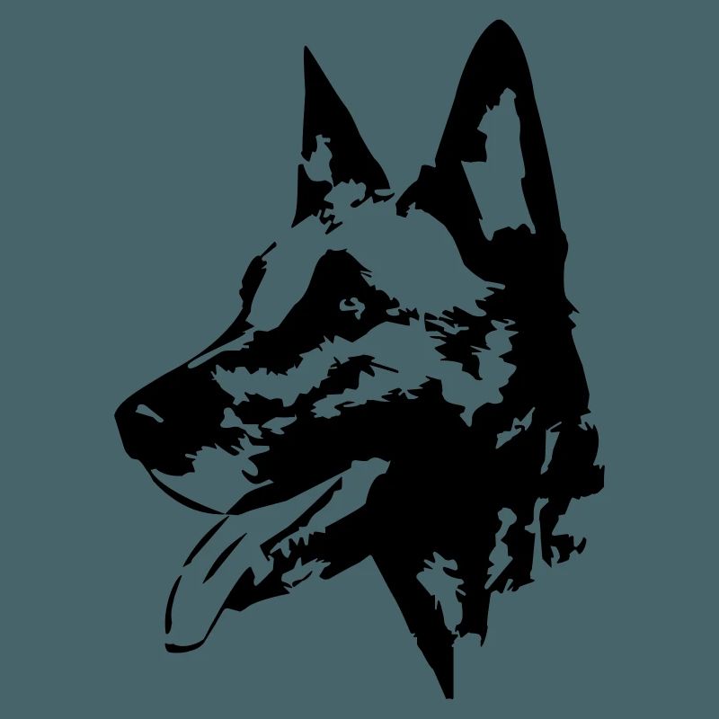 Malinois Kopf