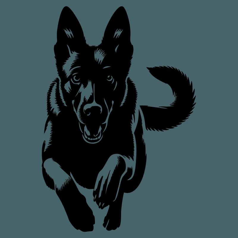 Malinois