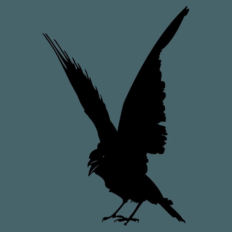 Schwarze Vogelkrähe oder Rabenschattenfigur