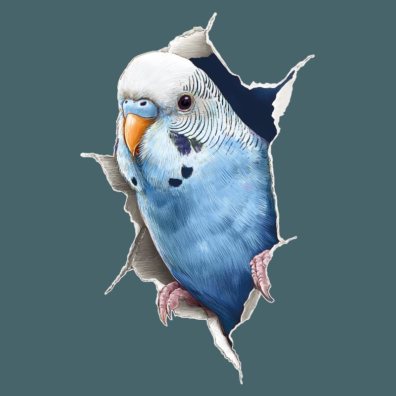 Budgerigar