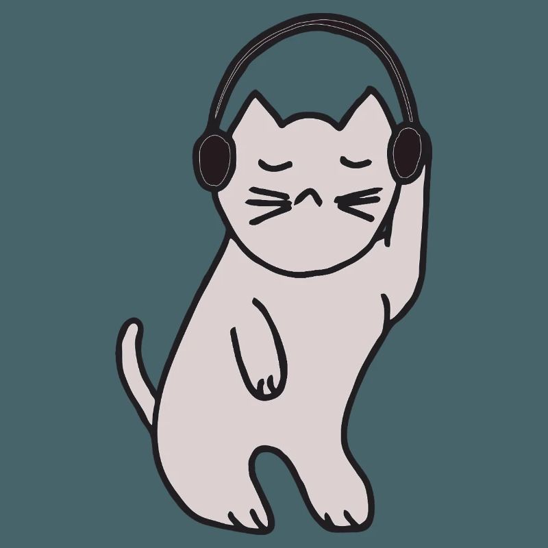 Katze discoqueen