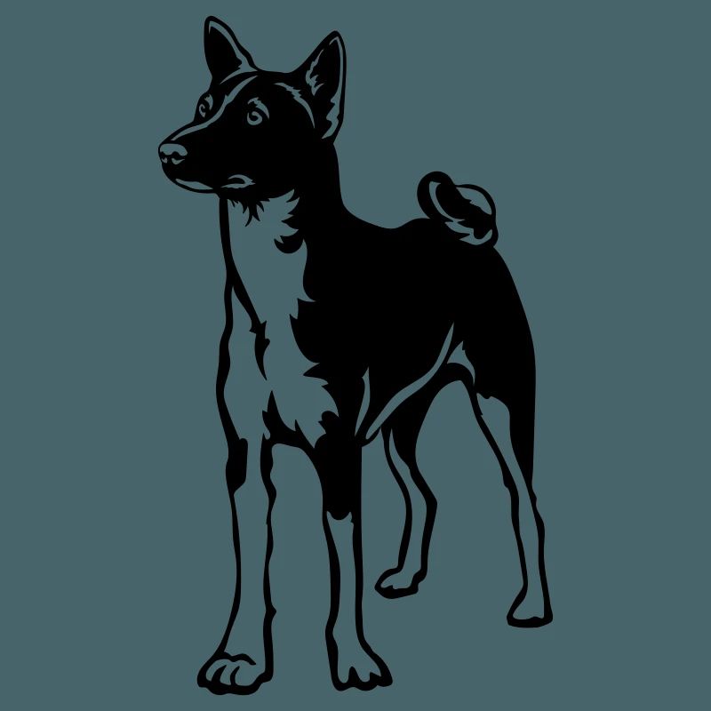 Basenji