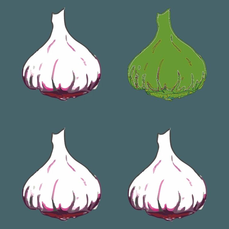 knoblauch 4er