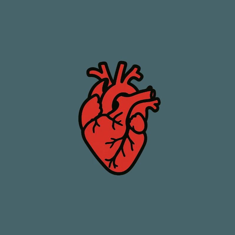 cuore_anatomico