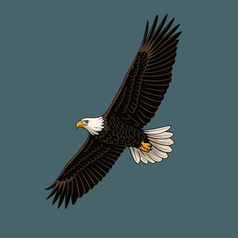 Eagle in Flight Distinct Graphics