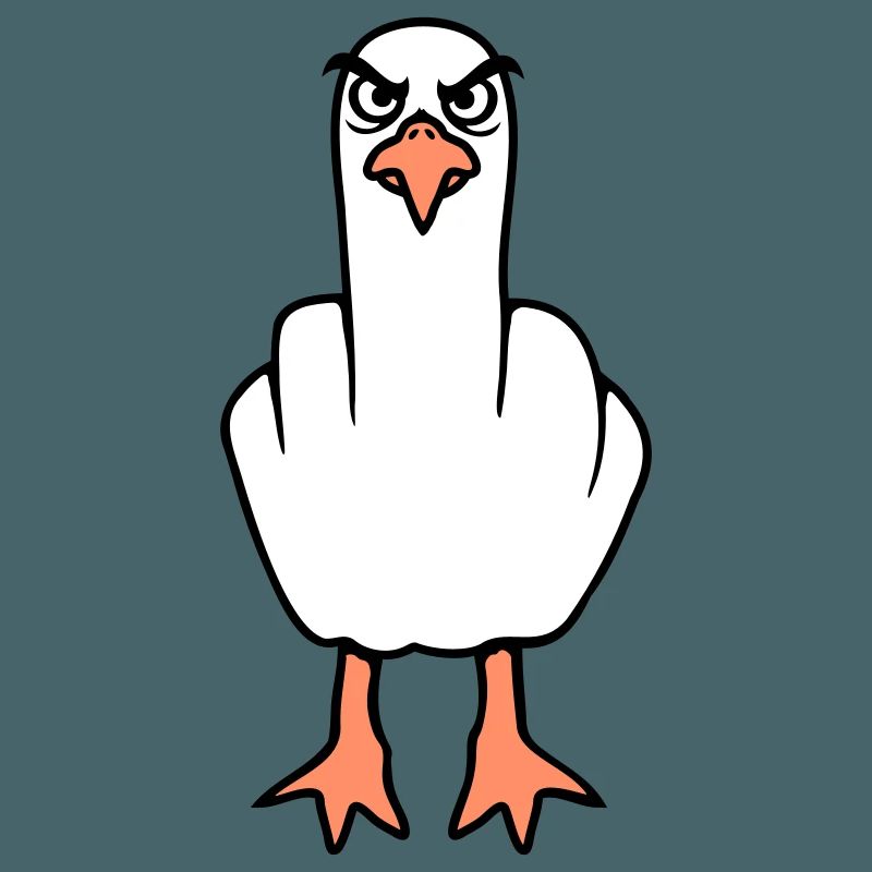 Möwe Mittelfinger Beleidigung Stinkefinger frech