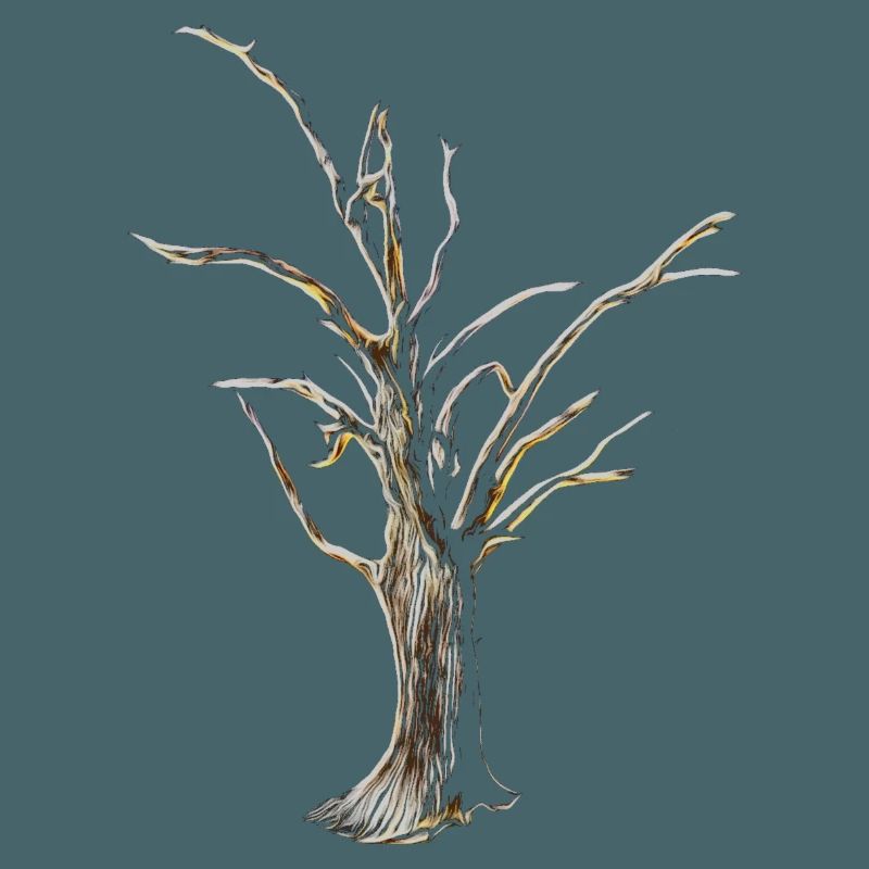 Baum