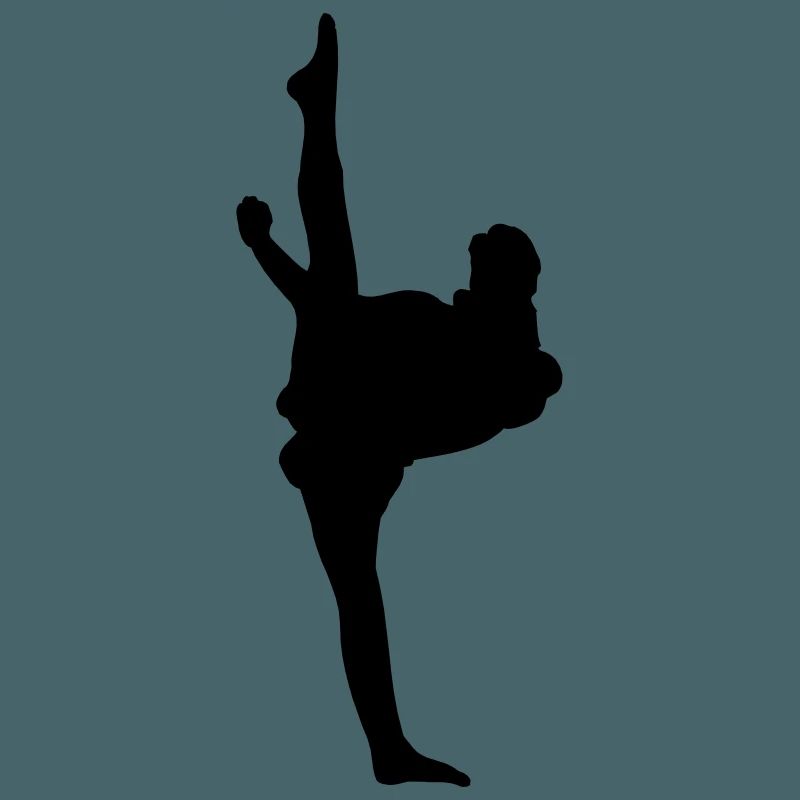 Karate oder Taekwondo High Kick