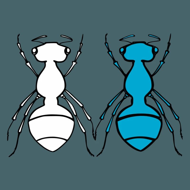 Ant Duo