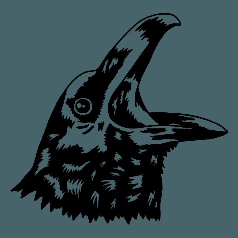 Krähe