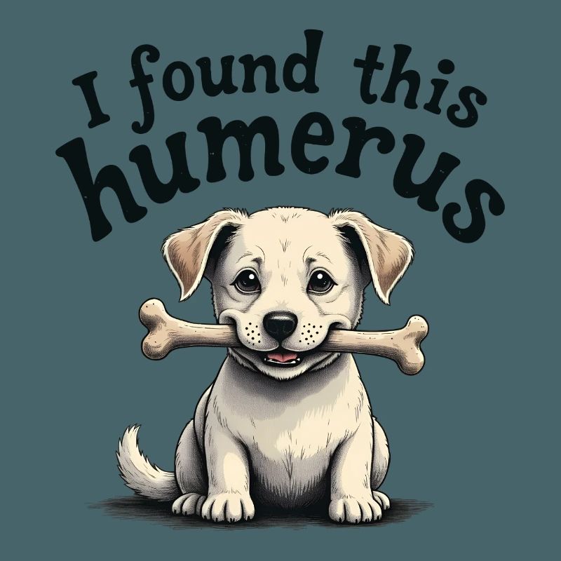 I found this humerus