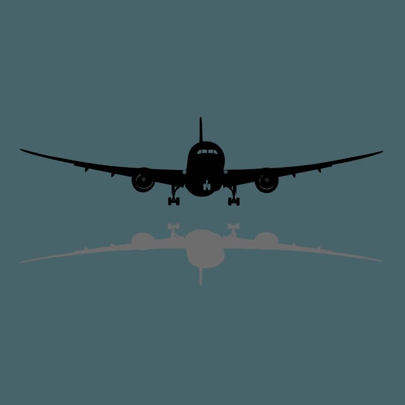 Passagierflugzeug