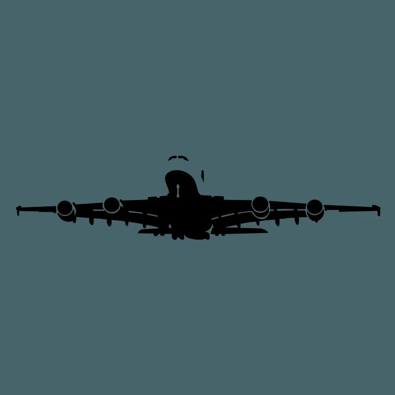 Passagierflugzeug