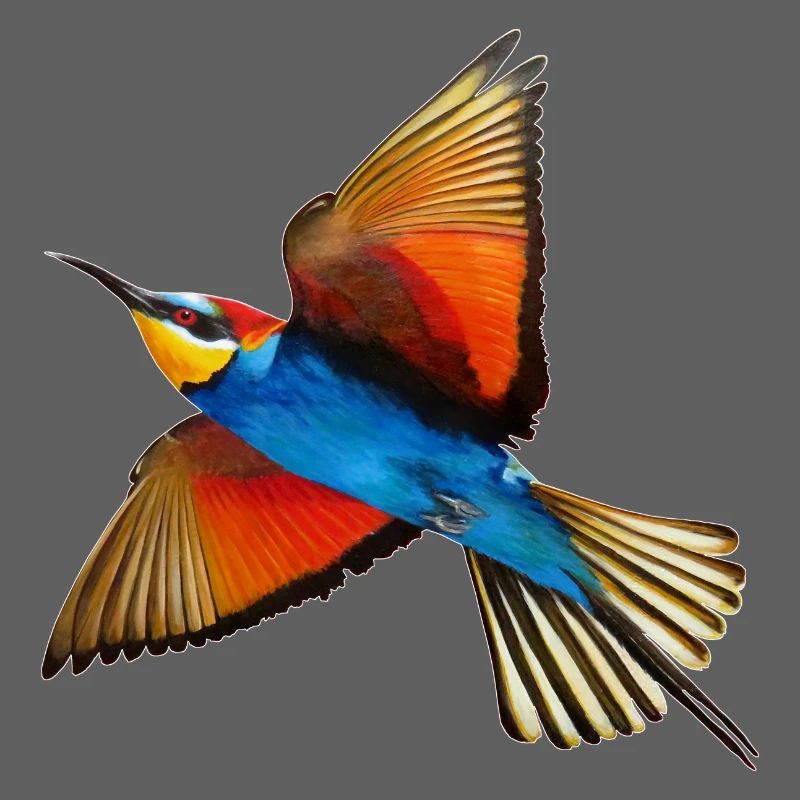 Bienenfresser-Vogel