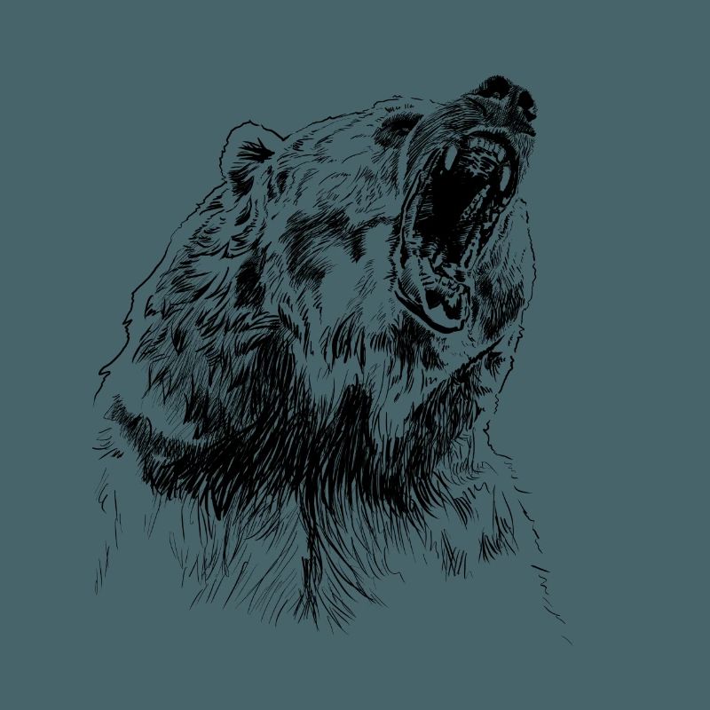 Bär