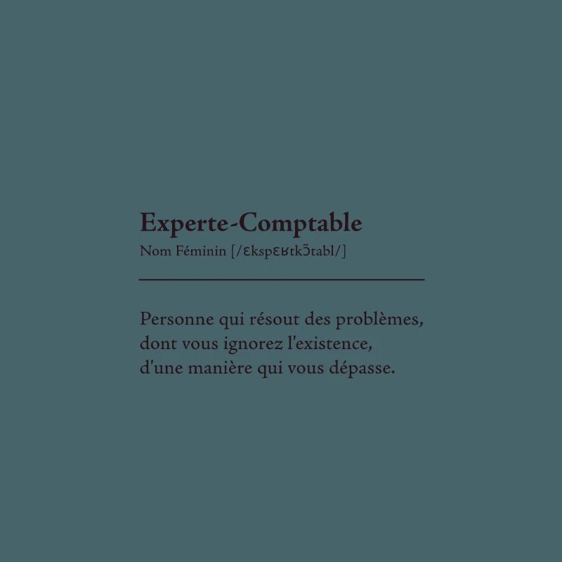 Experte Comptable Definition