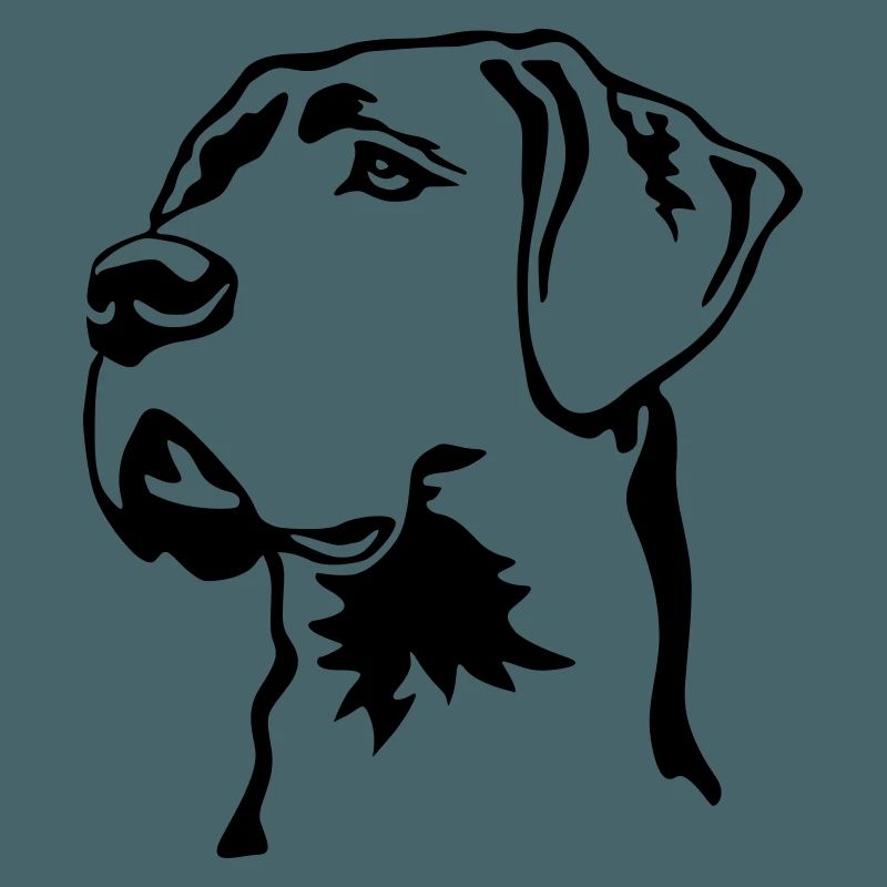 Great Dane head