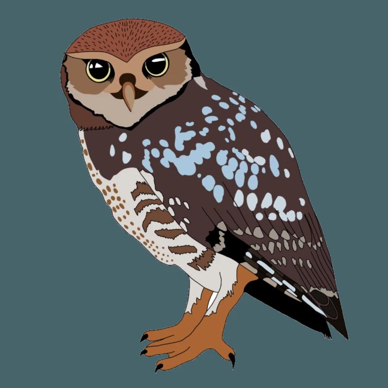 Eule