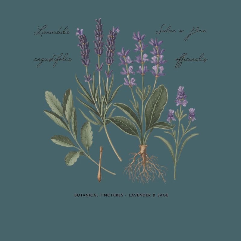 Botanische Heilkräuter
