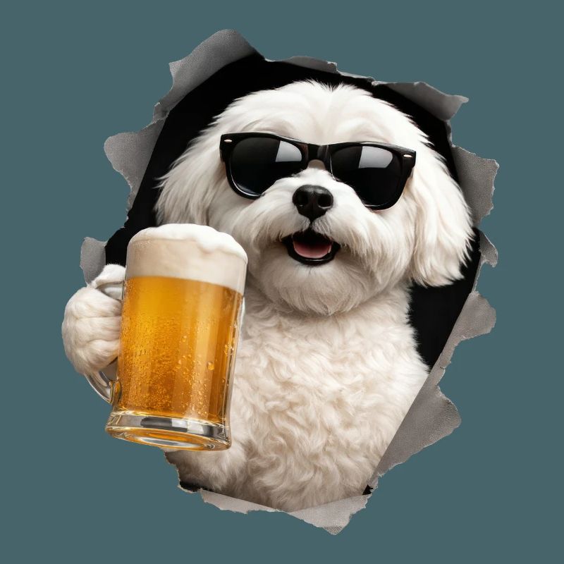 Maltesisches Bier