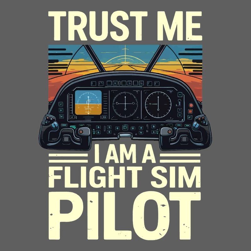 Vertrau mir ich bin ein Flugsimulatorpilot