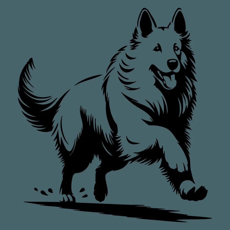 Schweizer Schäferhund