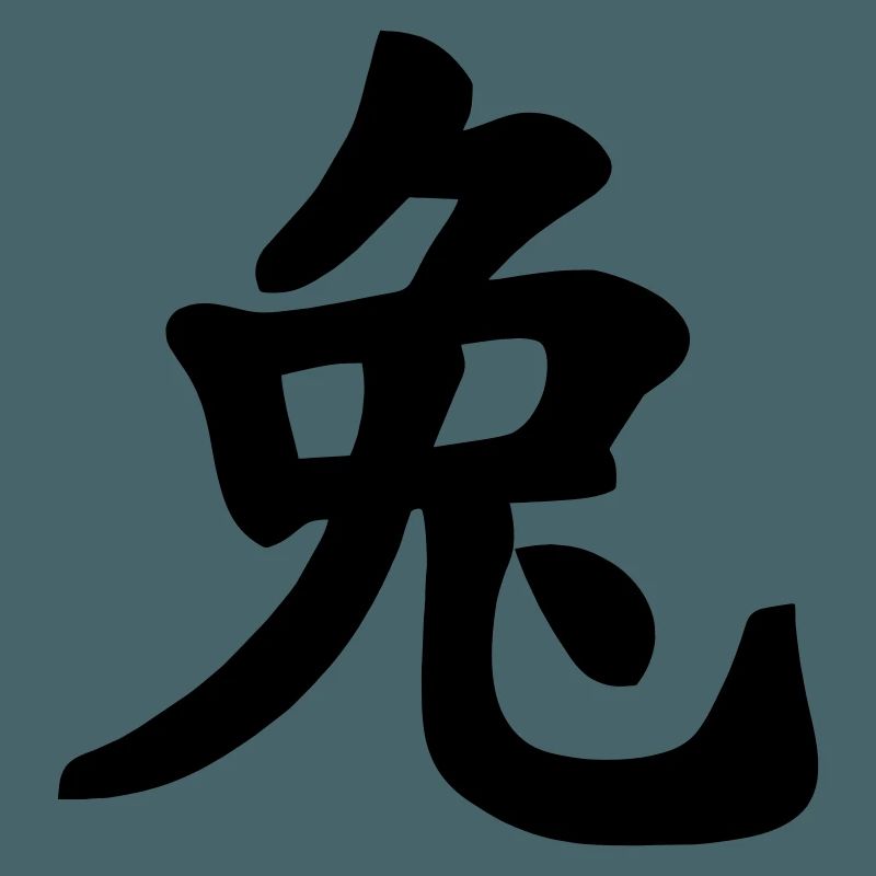 Chinese notebook rabbit shadow image