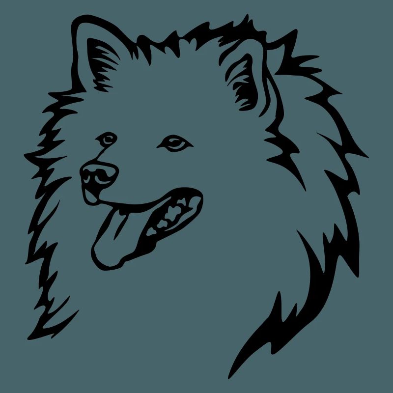 Spitz Kopf