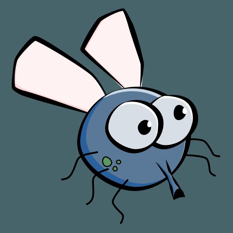 Fly