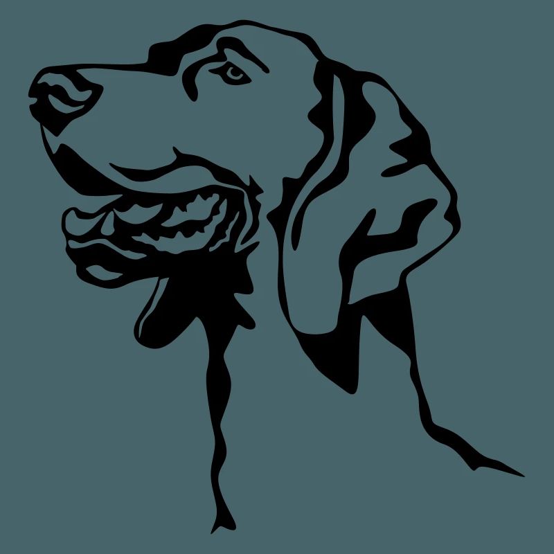 Weimaraner head