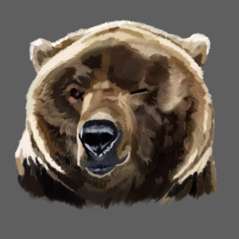 bear