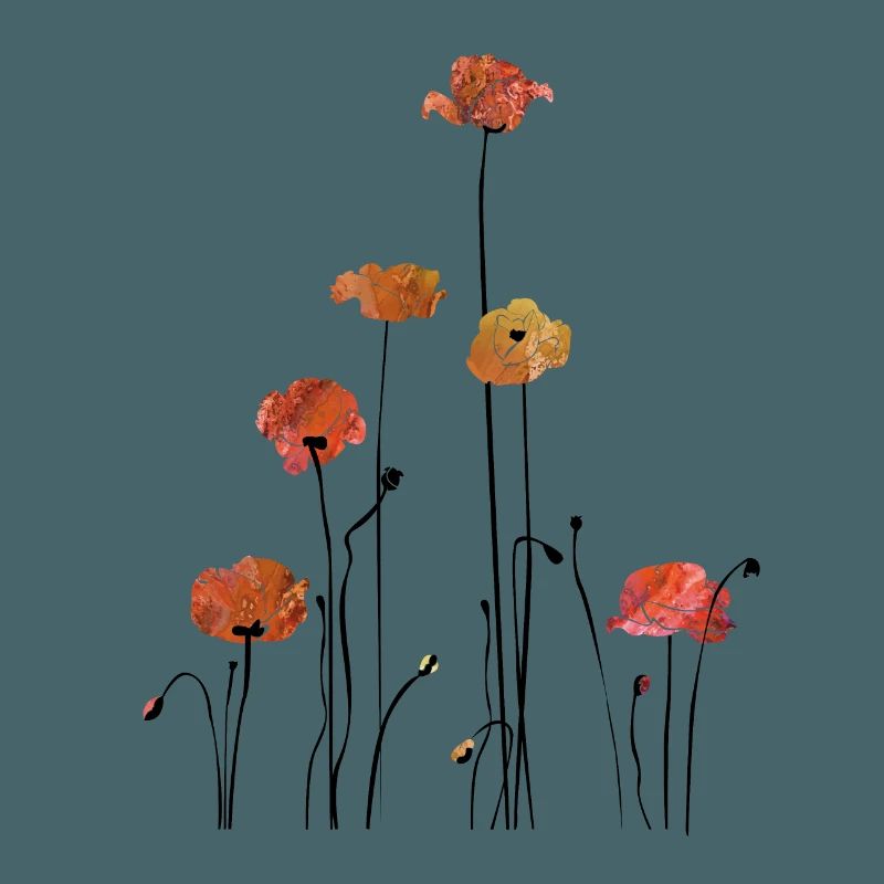 Mohnblume Klatschmohn