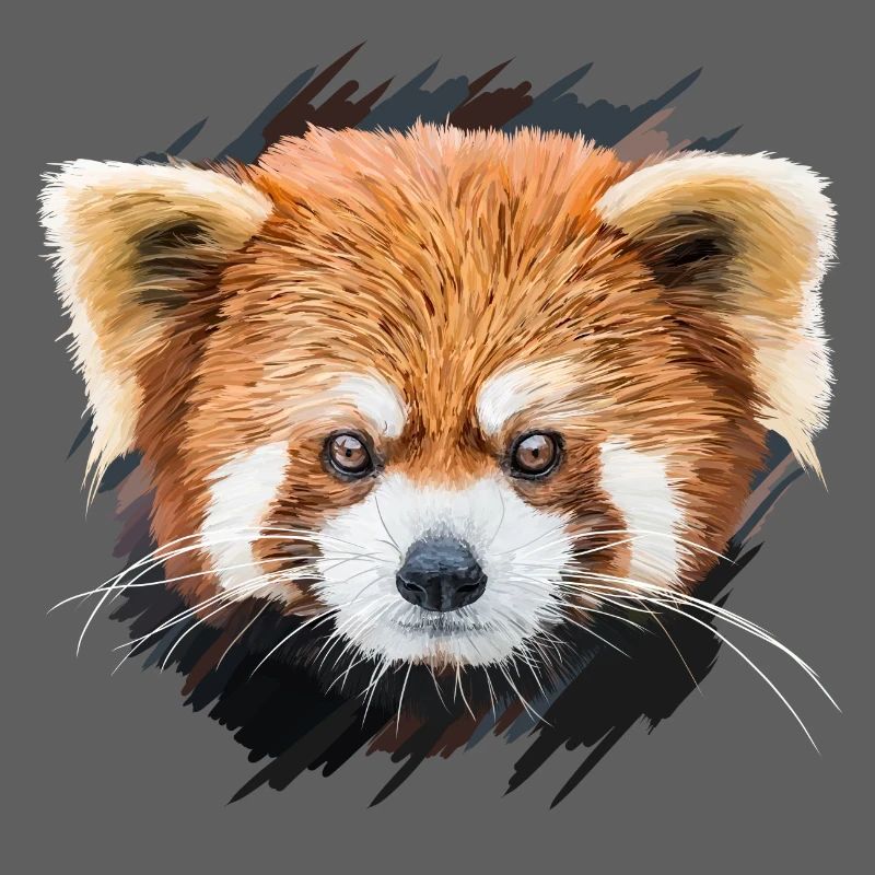Petit panda