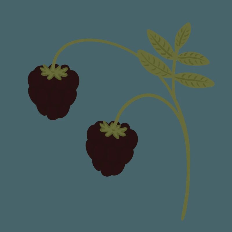 Brombeeren