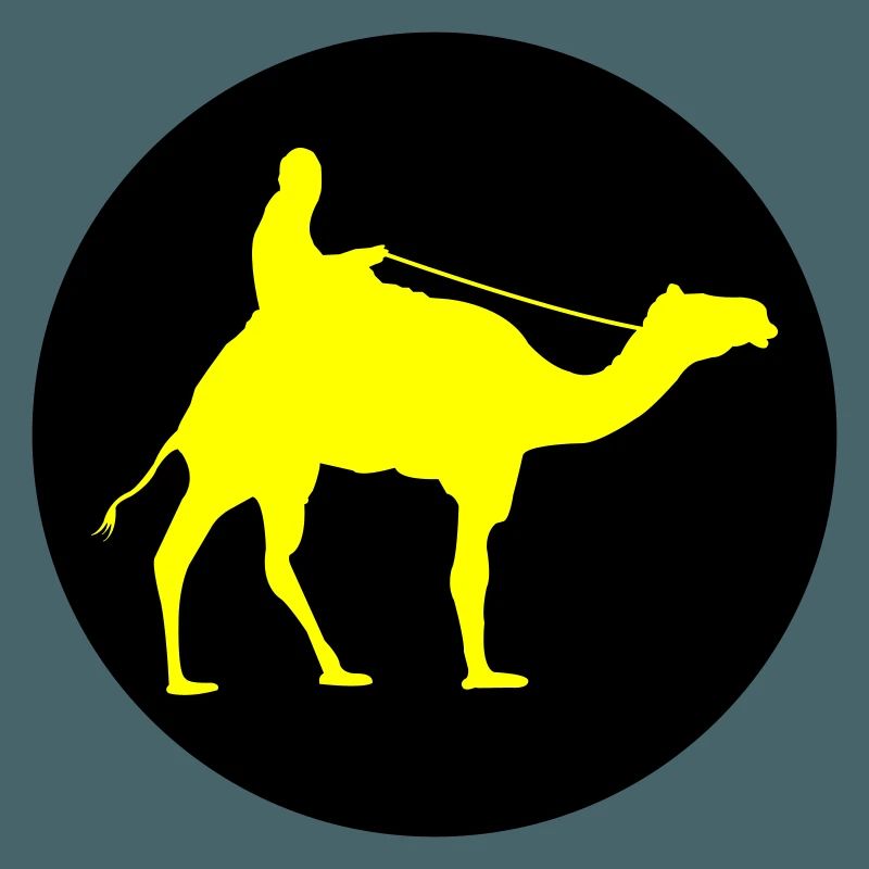 camel_ride_02