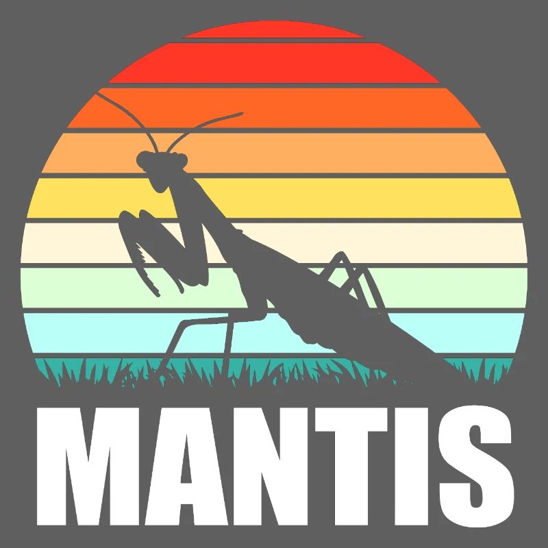 Mantis Gottesanbeter Gottesanbeterin