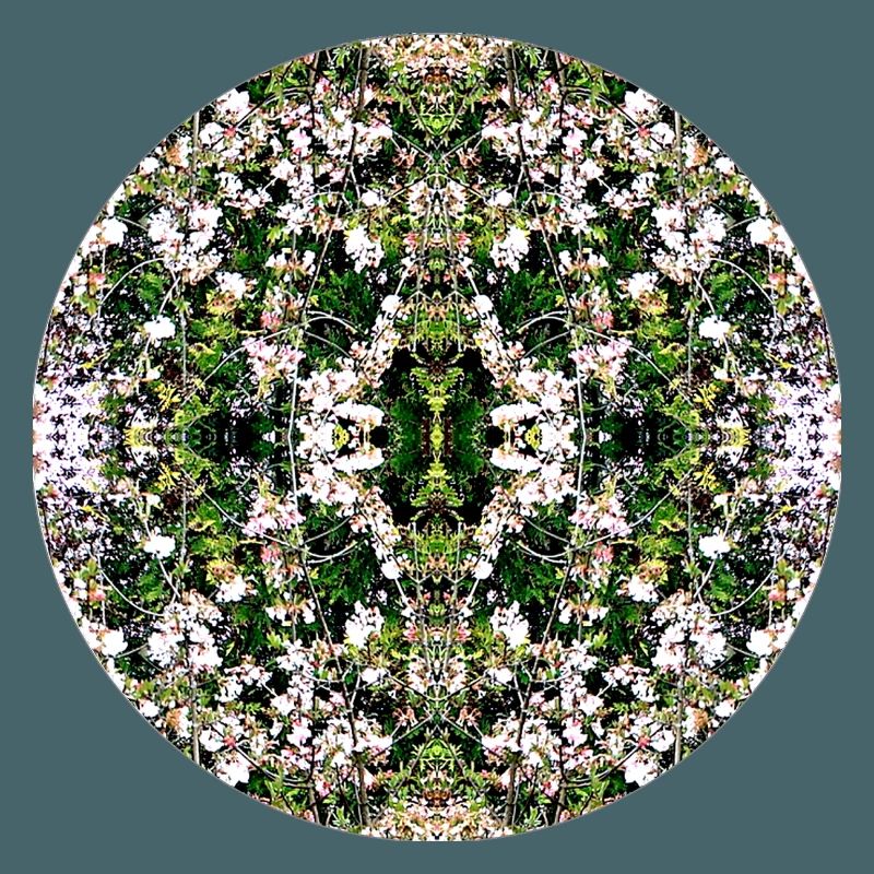 Source du Mandala de la Nature à Nuremberg