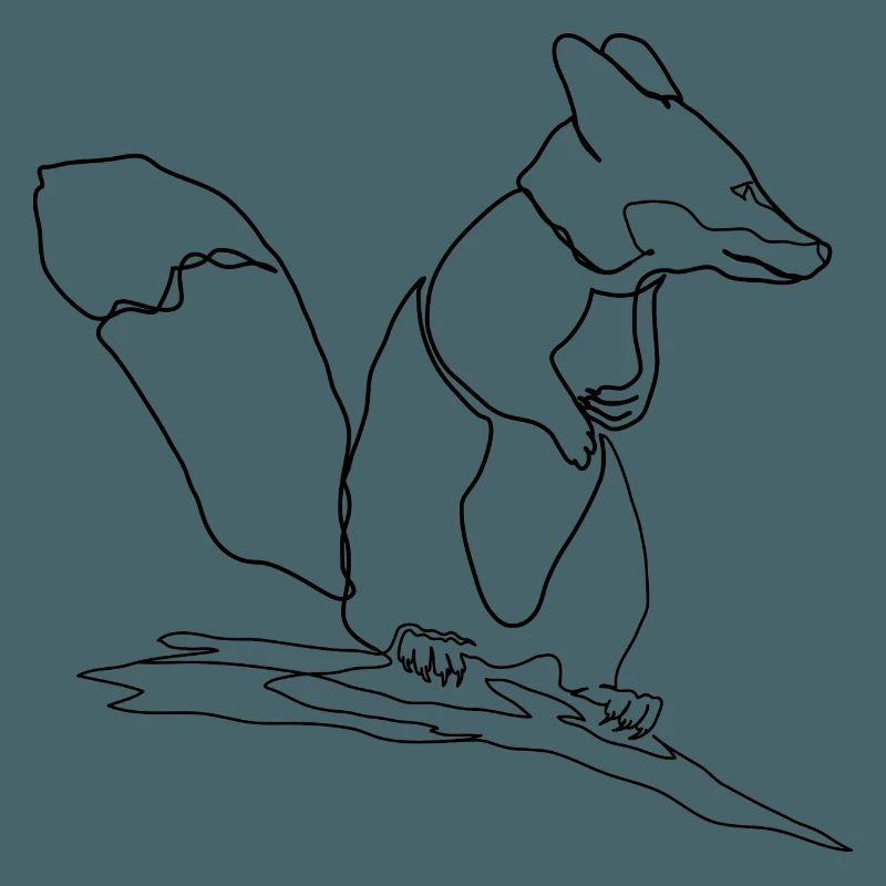 Fuchs Eichhörnchen Squirrel Fox