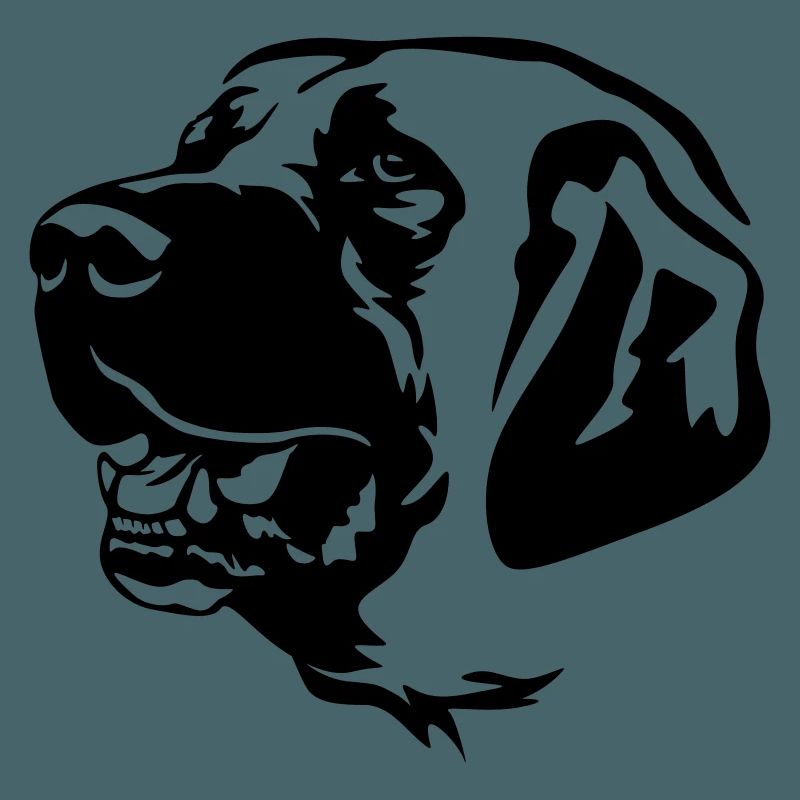 Kangal Kopf