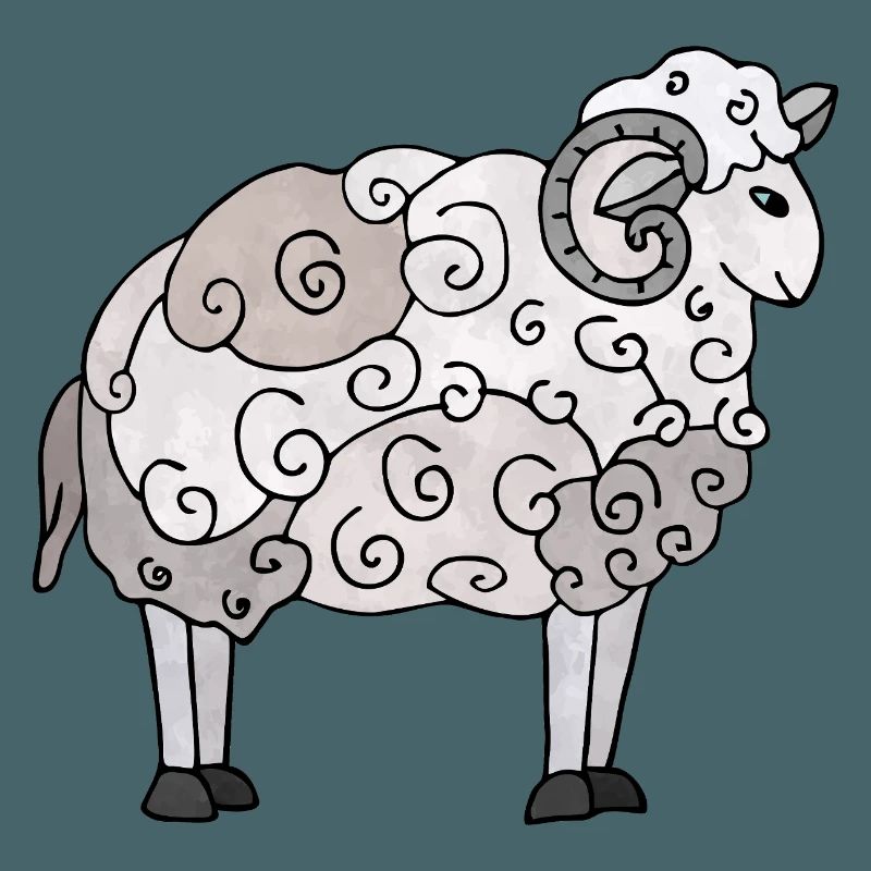 Widder