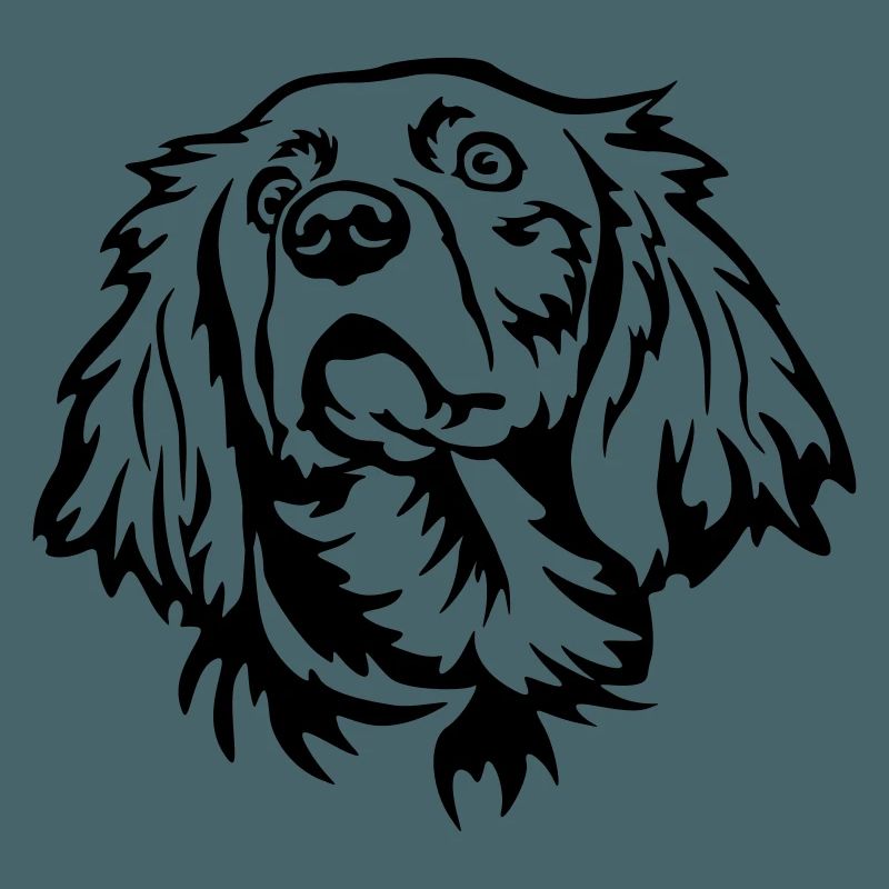 Weimaraner Kopf