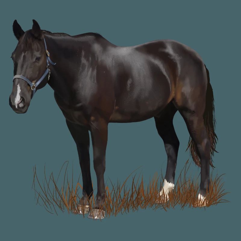 Pferd