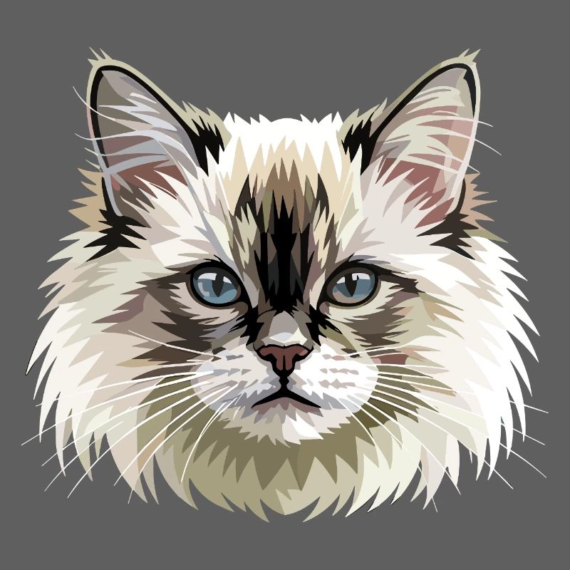 Chat Birman Chat Birman Sacré Chat Birman Mignons Chats Birman