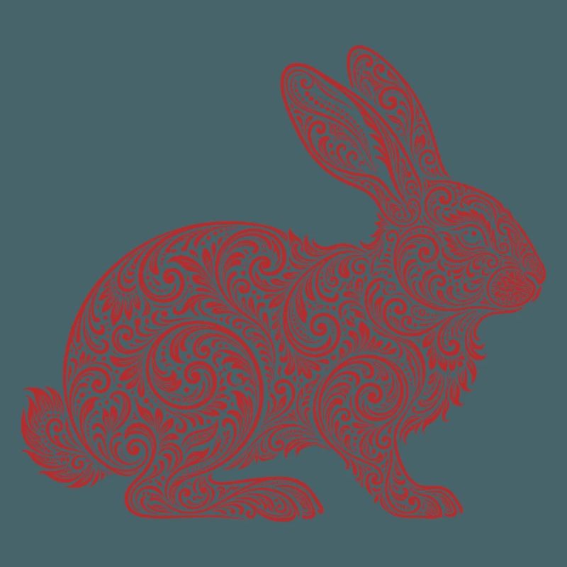 Hase
