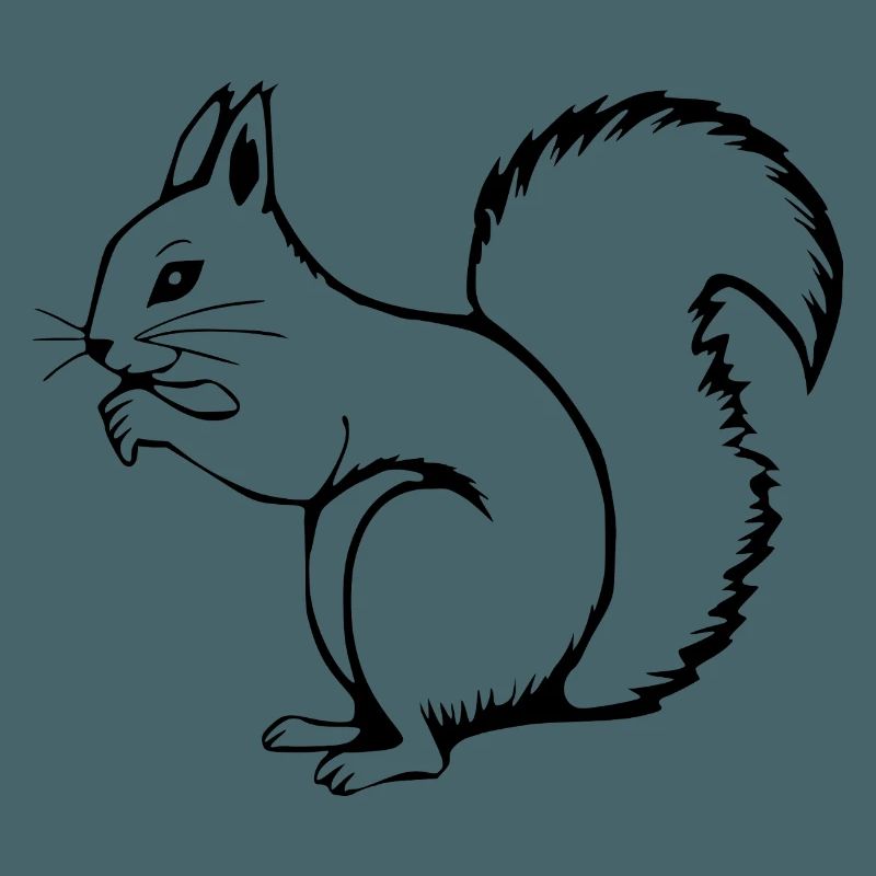 Eichhörnchen