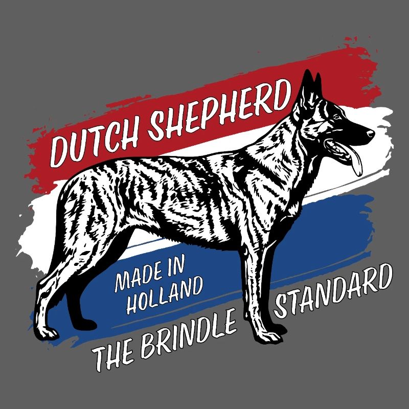 Dutch Shepherd - Dutchie 